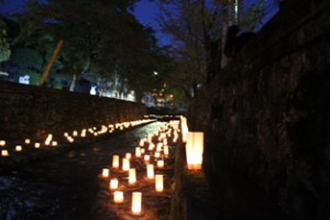 IMG_9650
